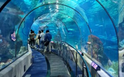 Akvarij u Barceloni (L´Aquarium de Barcelona) na satu prirode