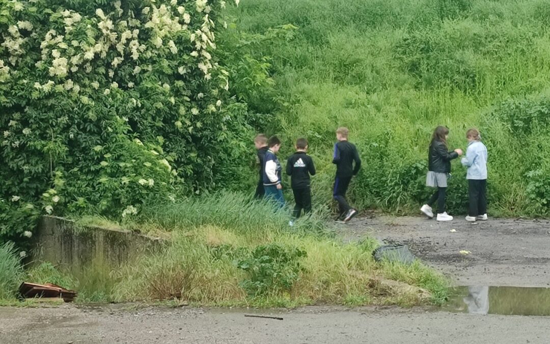 Stvaralaštvo inspirirano čitanjem, prirodom i suvremenim tehnologijama