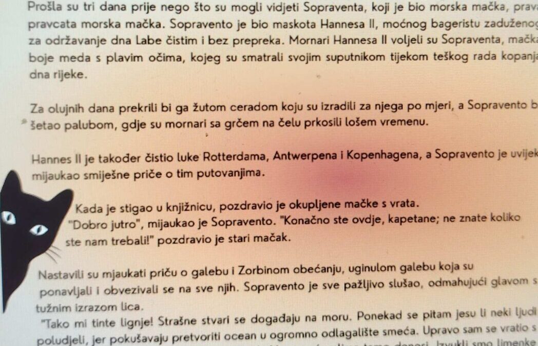 Prevođenje i digitalno ilustriranje priče