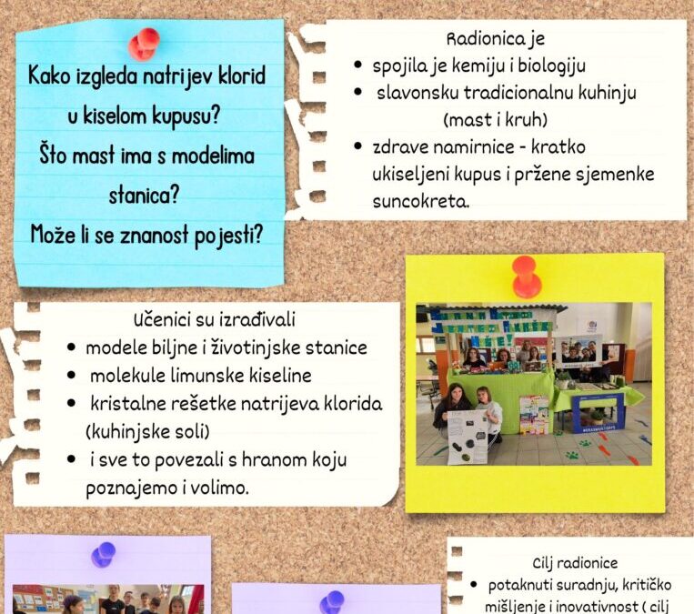 SAJAM – Suradnja Aktivnih Jedinstvenih Alkemičara Mašte Znanost na tanjuru: gdje se stanice susreću sa zalogajem!