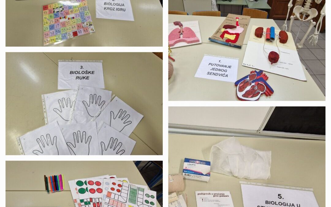 Učenje po stanicama (learning stations): biologija čovjeka – sati biologije u 8. razredima