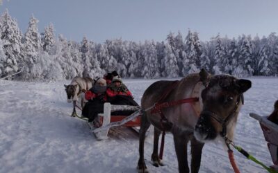 Izvješće pedagoginje s Erasmus seminara LIFE 2026.The Shadowing Experience 