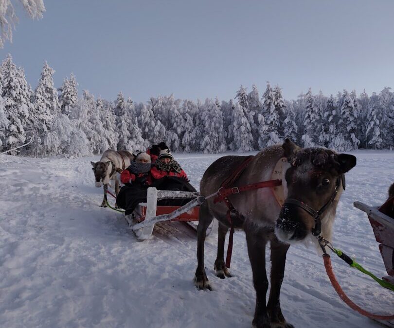 Izvješće pedagoginje s Erasmus seminara LIFE 2026.The Shadowing Experience 