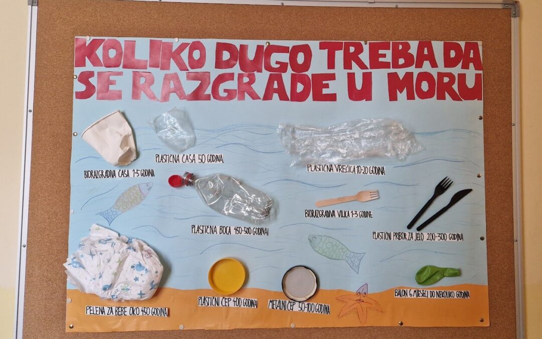 Mali plakat – velika poruka: prijenos dobre ekološke prakse s Erasmus mobilnosti na Bledu