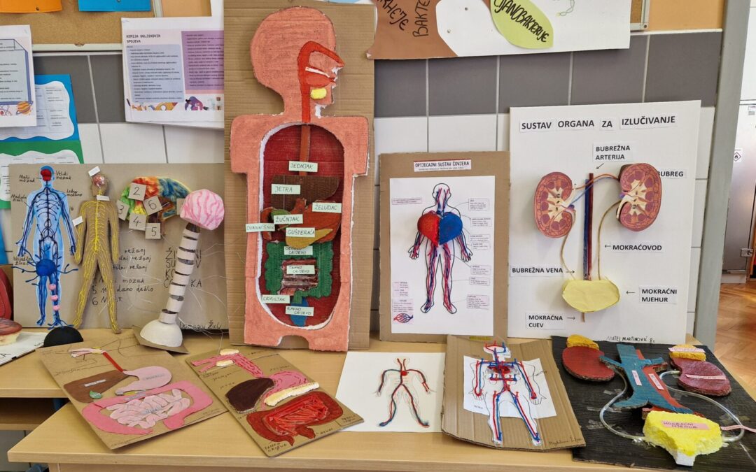 Kreativna anatomija – razvoj kreativnosti kroz suradničko učenje