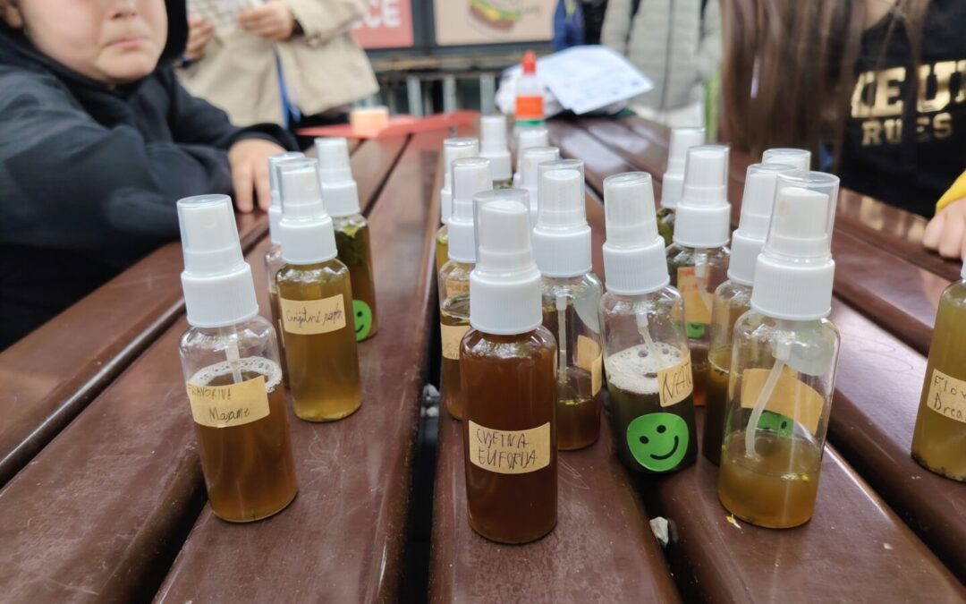 Nastava na otvorenom- kreativnost u prirodi i poduzetnštvo